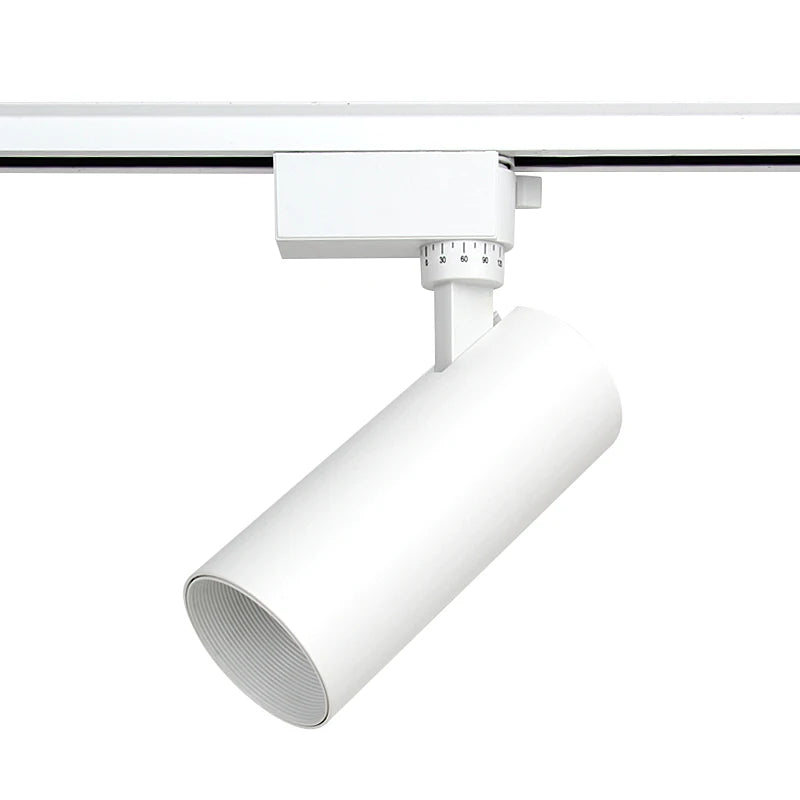 Shenzhen - sourced Modern Kitchen Rail Lamp. Features a black housing and COB LED technology in 20W and 30W options for track lighting.