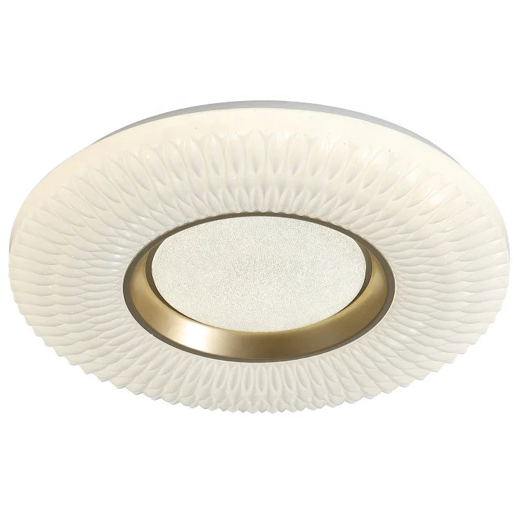 Modern - designed LED ceiling lamps are a perfect addition to your house for home lighting. These lights are versatile, suitable for both the living room and bedroom, offering a blend of style and illumination to enhance any interior space.