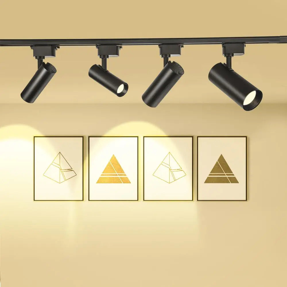 Shenzhen - sourced Modern Kitchen Rail Lamp. Features a black housing and COB LED technology in 20W and 30W options for track lighting.