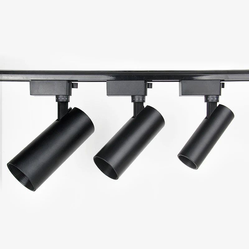 Shenzhen - sourced Modern Kitchen Rail Lamp. Features a black housing and COB LED technology in 20W and 30W options for track lighting.