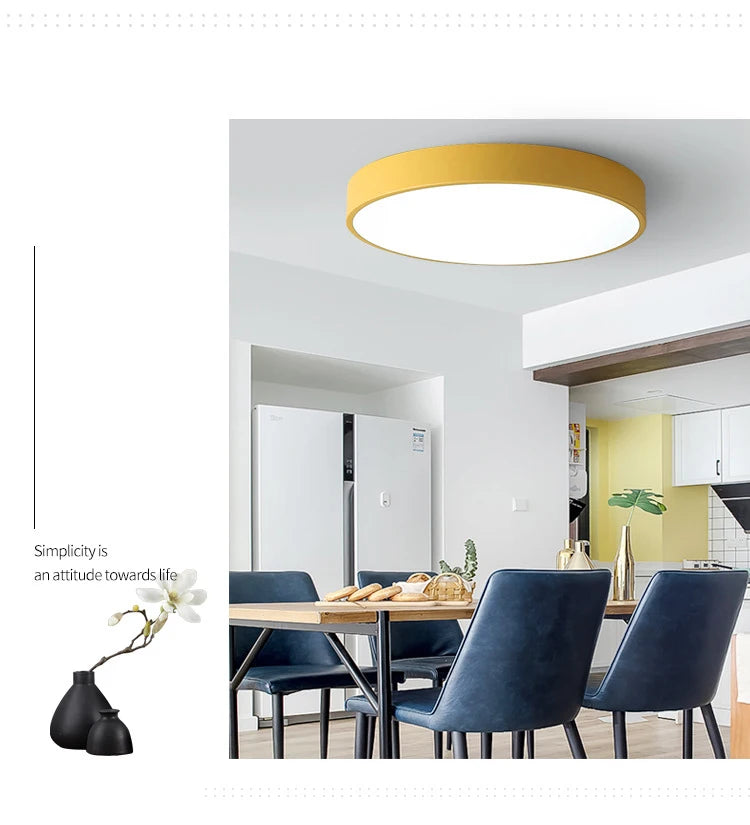 tra - Thin Modern and Simple Macaroon - Colored Circular Ceiling Lamp. Available in 18W, 30W, and 48W options.
